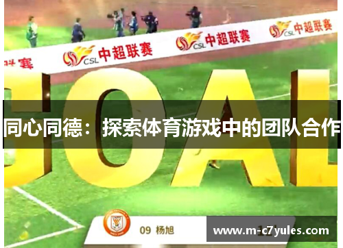同心同德：探索体育游戏中的团队合作