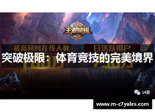 突破极限：体育竞技的完美境界