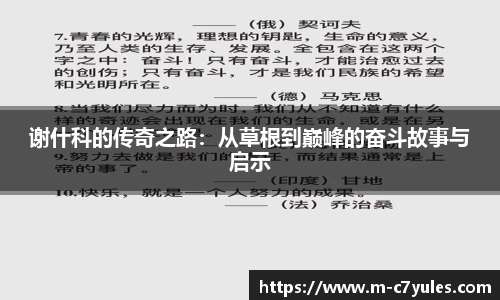 C7娱